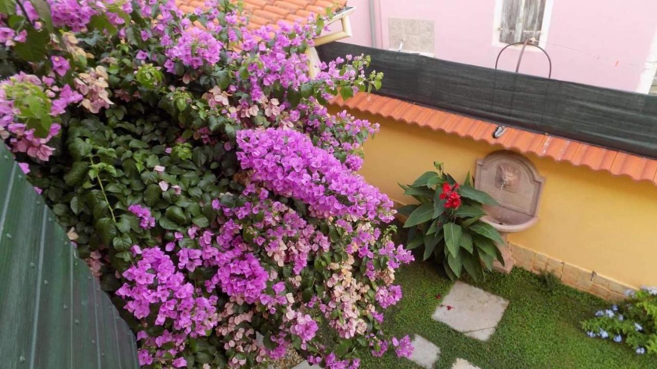 Willa House Justina Zadar Zewnętrze zdjęcie