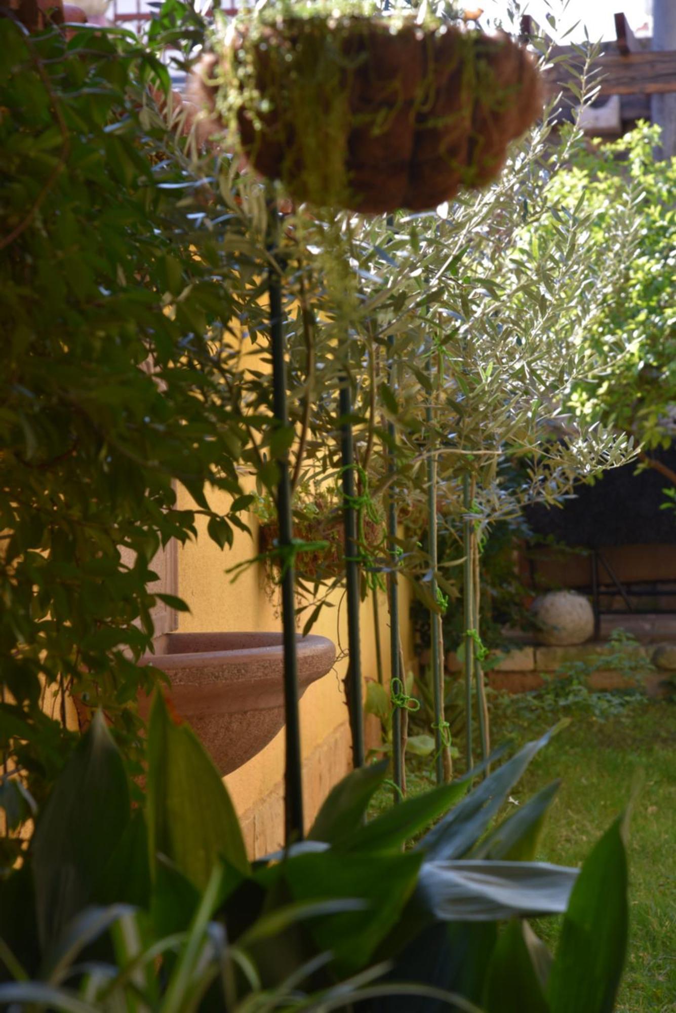 Willa House Justina Zadar Zewnętrze zdjęcie