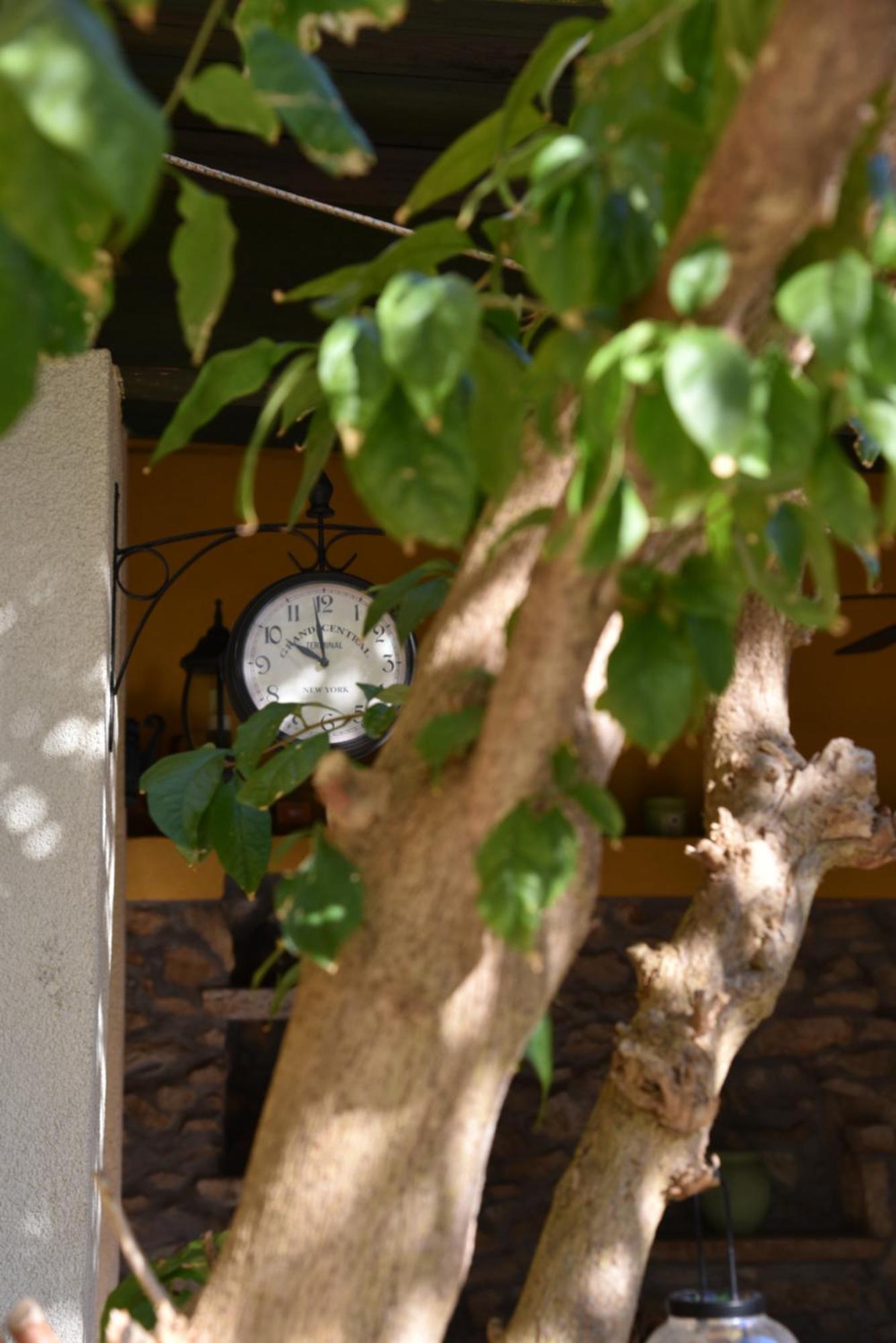 Willa House Justina Zadar Zewnętrze zdjęcie